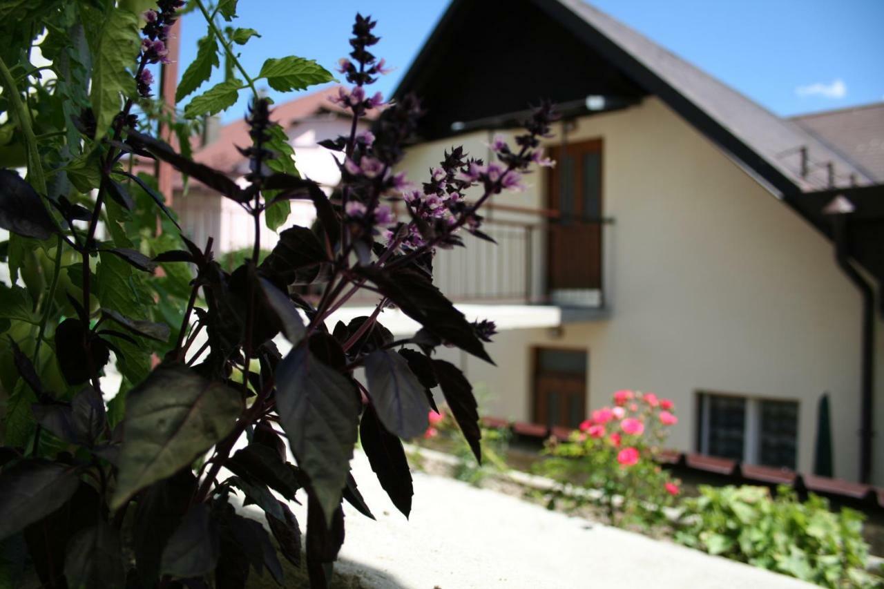 Apartma Center Bovec Ngoại thất bức ảnh